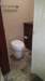 _162424_small.jpg